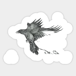 Raven flight Sticker